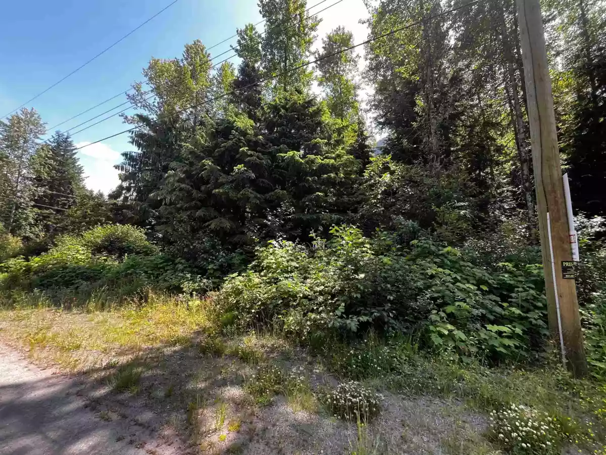 Exterior Rear Photo of 70911 Old Hope Princeton Highway, Sunshine Valley, BC