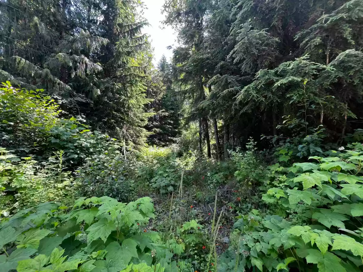 Family Room Photo of 70911 Old Hope Princeton Highway, Sunshine Valley, BC