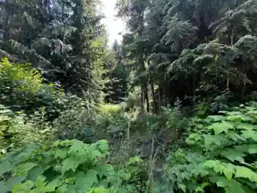 70911 Old Hope Princeton Highway, Sunshine Valley, BC, Sunshine Valley — Land for sale