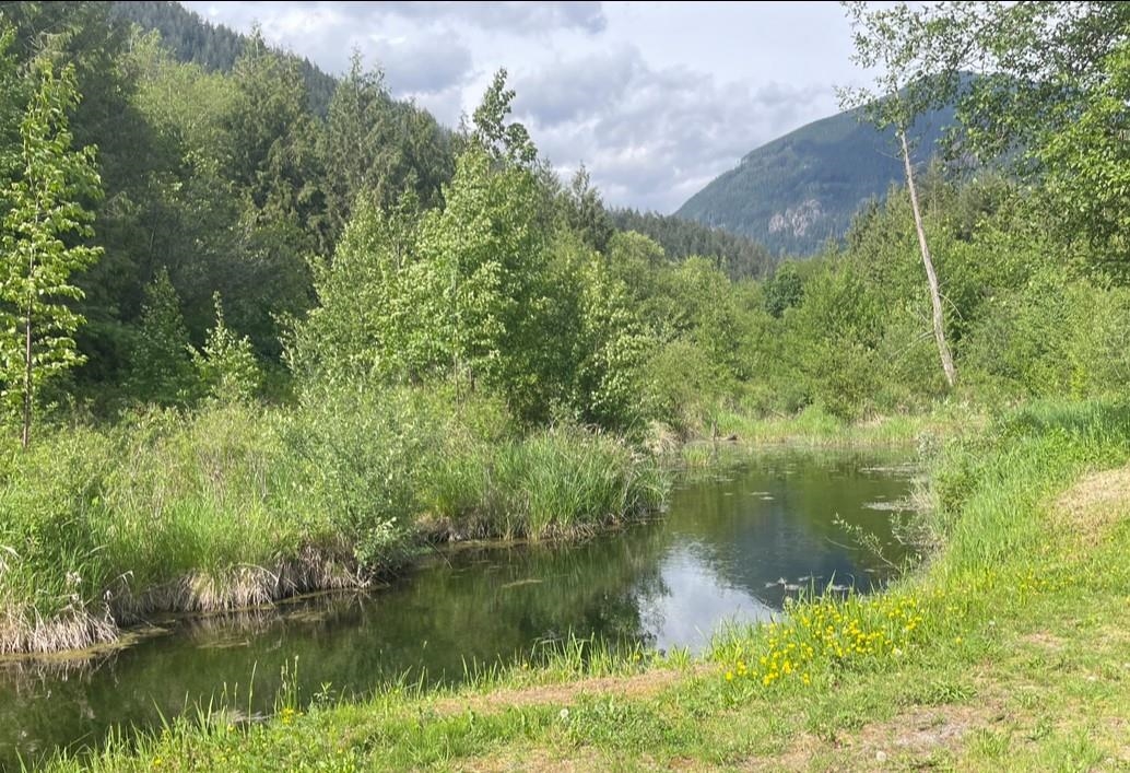 Exterior Rear Photo of 38205 Bell Road, Mission, BC