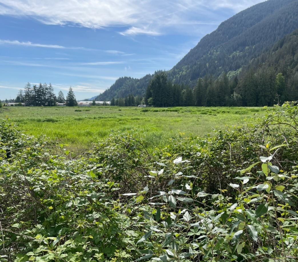 Living Room Photo of 38205 Bell Road, Mission, BC