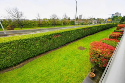 Backyard Photo of 206 15150 108 Avenue, Surrey, BC