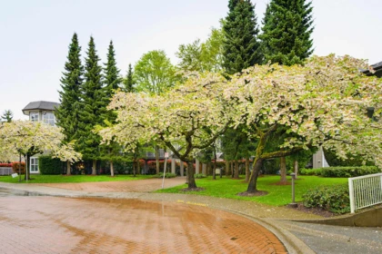 Fitness Center Photo Near 206 15150 108 Avenue, Surrey, BC