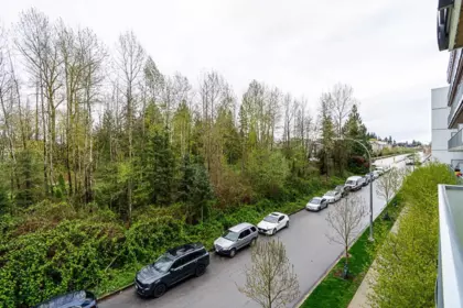 Backyard Photo of B315 8447 202 Street, Langley, BC