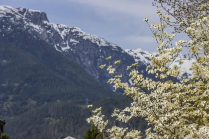 Office / Den Photo of 2101 Diamond Road, Squamish, BC