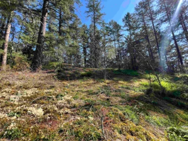 Breakfast Nook Photo of Lot 21 Sechelt Inlet Road, Sechelt, BC