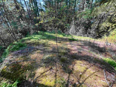 Kitchen Island Photo of Lot 21 Sechelt Inlet Road, Sechelt, BC