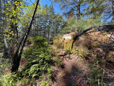 Pantry Photo of Lot 21 Sechelt Inlet Road, Sechelt, BC
