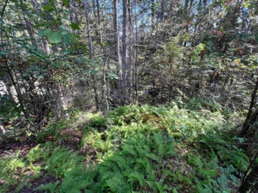 Primary Bathroom Photo of Lot 21 Sechelt Inlet Road, Sechelt, BC