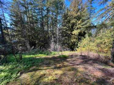 Primary Bedroom Photo of Lot 21 Sechelt Inlet Road, Sechelt, BC