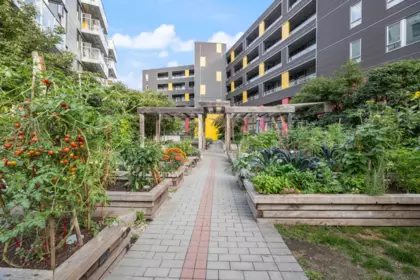 Garden / Landscaping Photo of 619 384 E 1st Avenue, Vancouver, BC