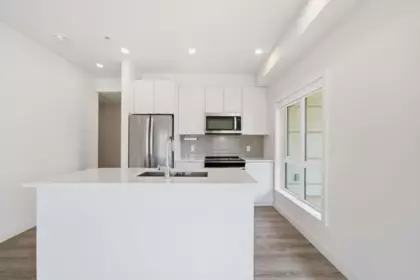 Kitchen Photo of 501 610 Brantford Street, New Westminster, BC