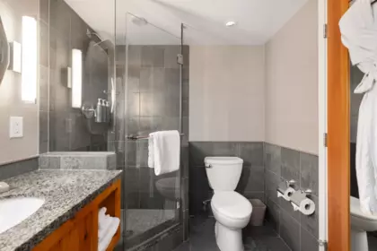 Primary Bathroom Photo of 858 4090 Whistler Way, Whistler, BC