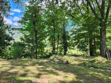 Neighborhood Park Photo Near 10821 N Popkum Road, Rosedale, BC
