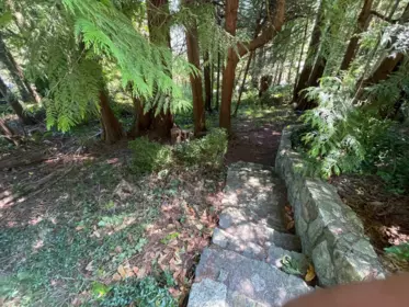 Street View Photo of 6570 Madrona Crescent, West Vancouver, BC
