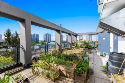 Outdoor Kitchen Photo of 1013 Quebec Street, New Westminster, BC