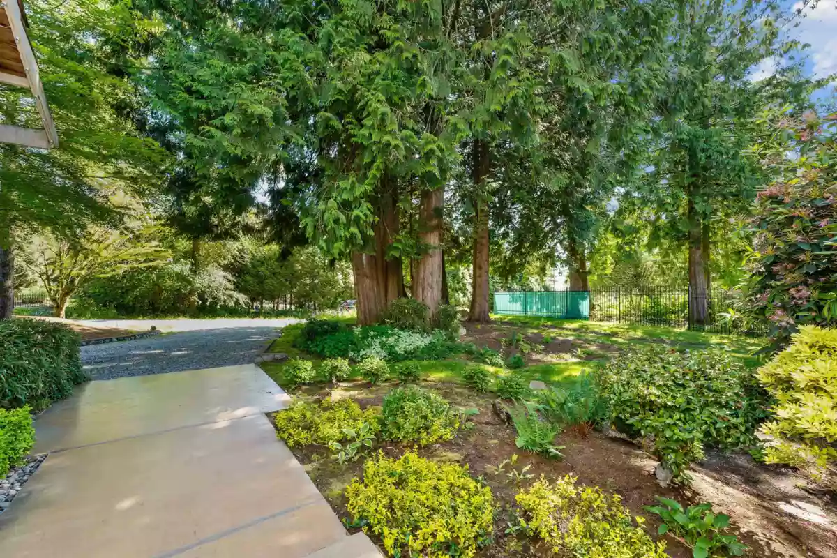 Exterior Rear Photo of 24325 126 Avenue, Maple Ridge, BC