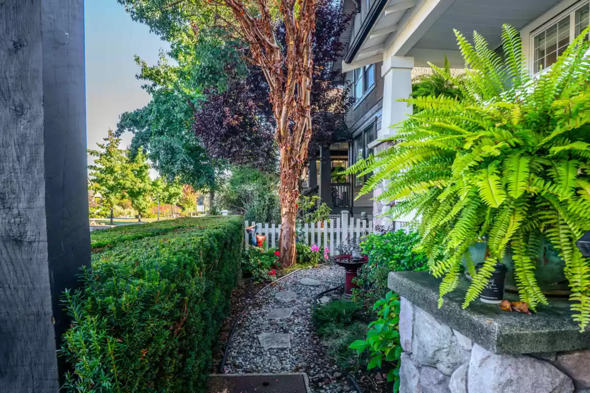 Living Room Photo of 9364 Singh Street, Langley, BC