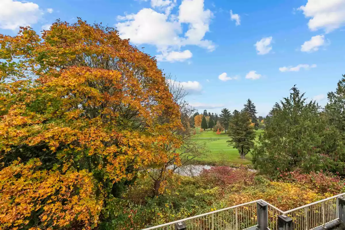 Dining Area Photo of A203 1258 Hunter Road, Delta, BC