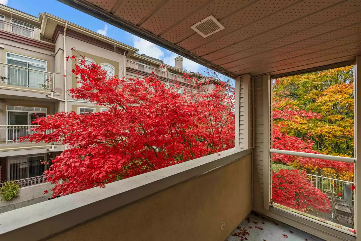 Family Room Photo of A203 1258 Hunter Road, Delta, BC