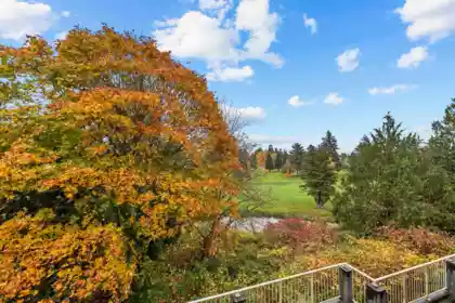 A203 1258 Hunter Road, Delta, BC, Delta — Apartment/Condo for sale