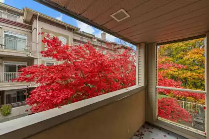 A203 1258 Hunter Road, Delta, BC, Delta — Apartment/Condo for sale