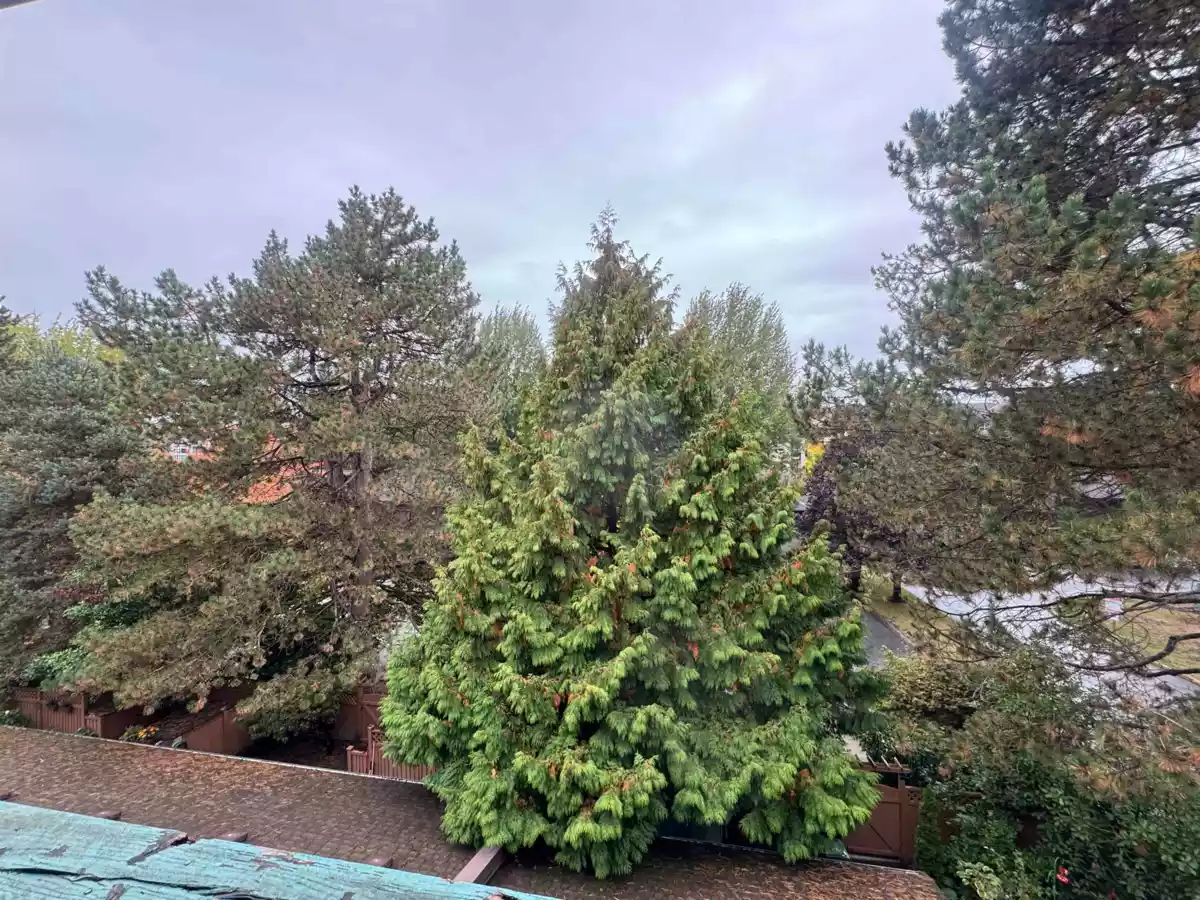 Basement Recreation Room Photo of 308 8540 Citation Drive, Richmond, BC