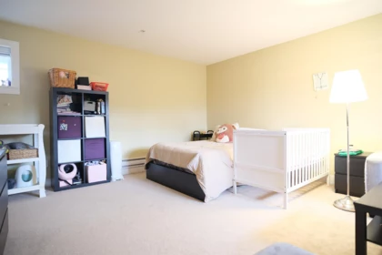 Basement Recreation Room Photo of 25 22977 116 Avenue, Maple Ridge, BC