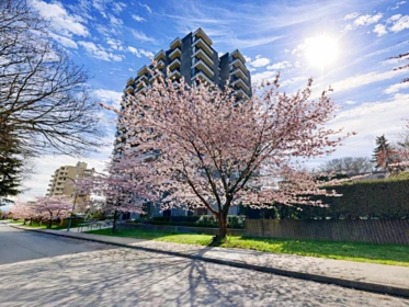 906 2370 W 2nd Avenue, Vancouver, BC, Vancouver — Apartment/Condo for sale