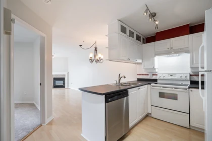 Kitchen Photo of 502 1035 Auckland Street, New Westminster, BC