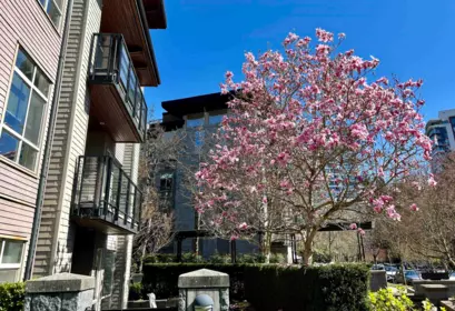 Loft / Bonus Room Photo of 128 5777 Birney Avenue, Vancouver, BC