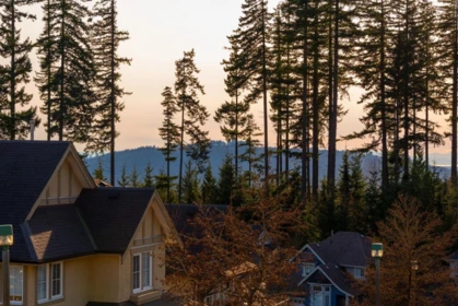 Outdoor Patio Photo of 164 Sycamore Drive, Port Moody, BC