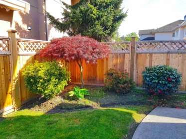 Swimming Pool Photo of 6200 Garrison Court, Richmond, BC