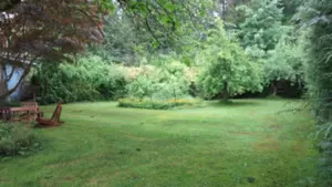 11709 248 Street, Maple Ridge, BC