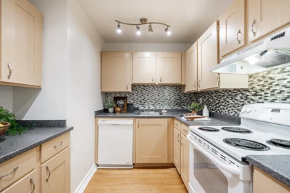 Kitchen Photo of 306 10680 151a Street, Surrey, BC