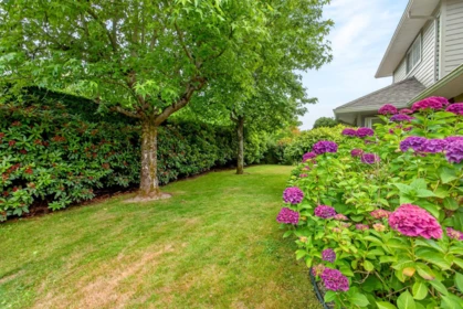 Garden / Landscaping Photo of 101 16275 15 Avenue, Surrey, BC