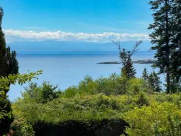 Kitchen Photo of 8097 Redrooffs Road, Halfmoon Bay, BC