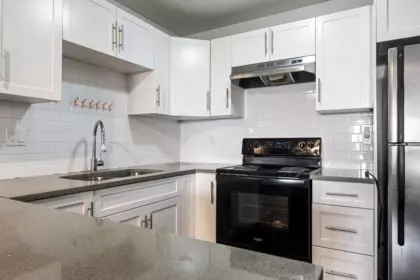 204 1209 Howie Avenue, Coquitlam, BC, Coquitlam — Apartment/Condo for sale
