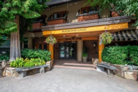 229 4220 Gateway Drive, Whistler, BC