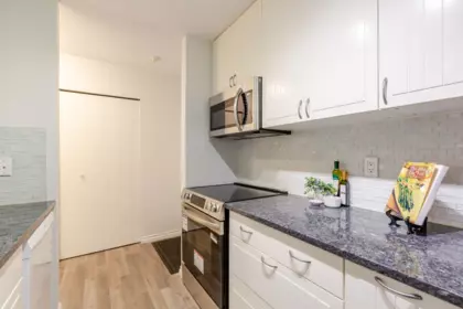 Basement Recreation Room Photo of 203 12890 17 Avenue, Surrey, BC