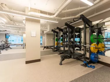 Basement Recreation Room Photo of 1605 308 Morrissey, Port Moody, BC