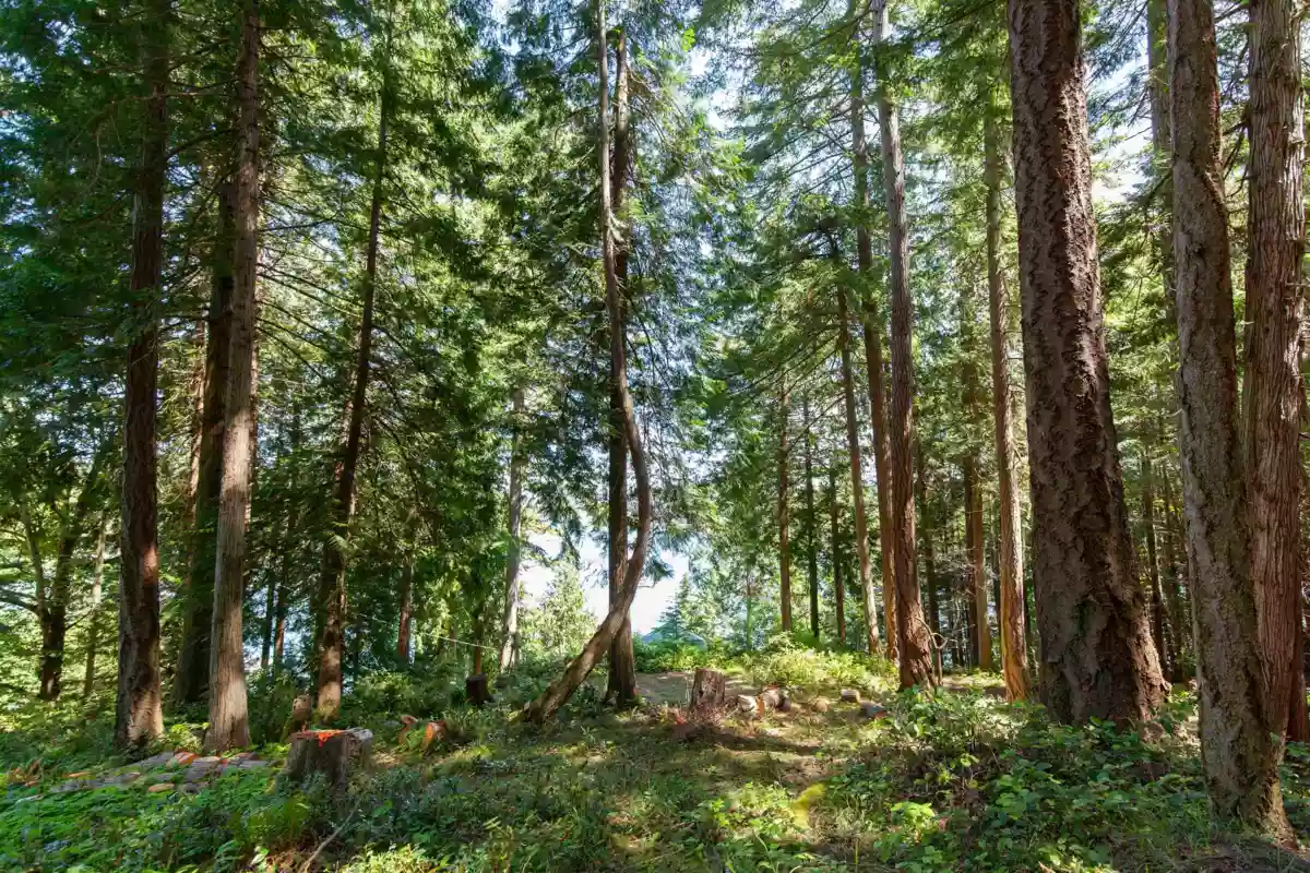 Hot Tub / Spa Photo of 706 Horton Bay Road, Mayne Island, BC