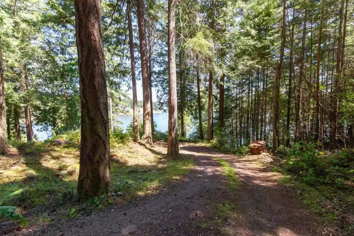 Kitchen Photo of 706 Horton Bay Road, Mayne Island, BC