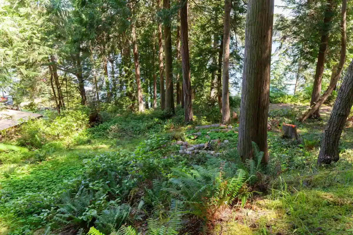 Outdoor Kitchen Photo of 706 Horton Bay Road, Mayne Island, BC