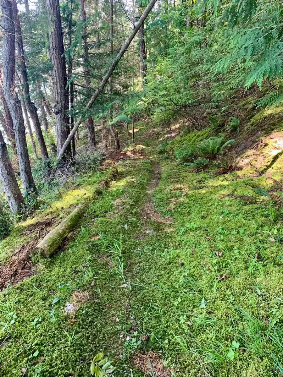 Staircase Photo of 706 Horton Bay Road, Mayne Island, BC