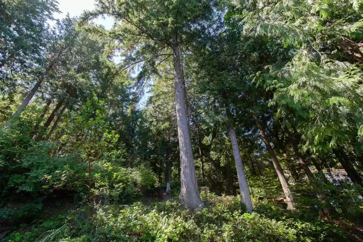 Street View Photo of 706 Horton Bay Road, Mayne Island, BC