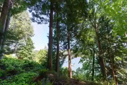 Neighborhood Park Photo Near 706 Horton Bay Road, Mayne Island, BC