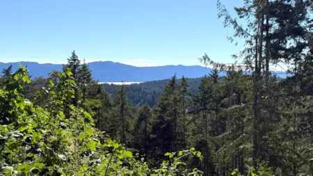 LOT 57 Gulfview Road, Pender Harbour, BC, Pender Harbour — Land for sale