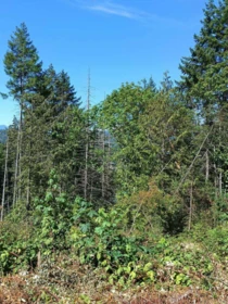 Kitchen Island Photo of LOT 57 Gulfview Road, Pender Harbour, BC