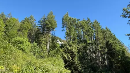 Primary Bedroom Photo of LOT 57 Gulfview Road, Pender Harbour, BC